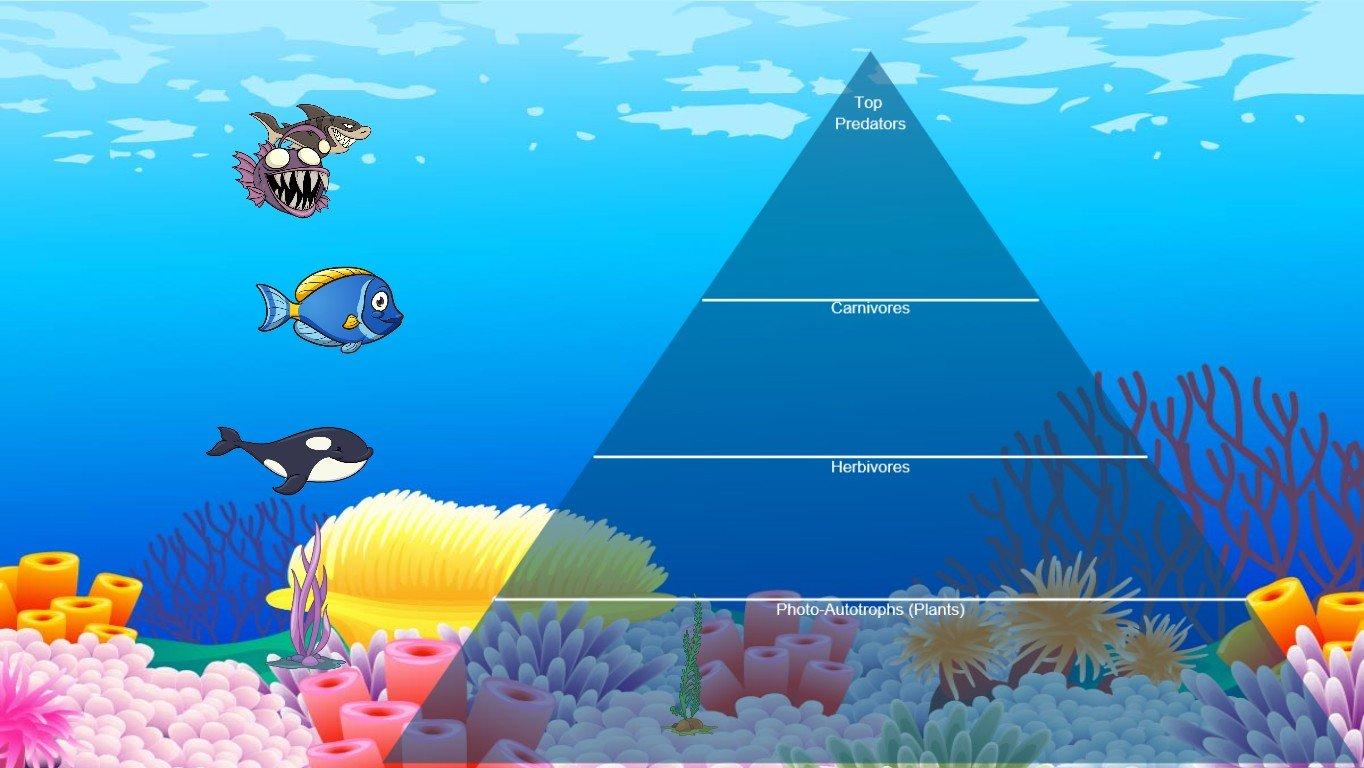 Ocean Ecological Pyramid - TEMPLATE