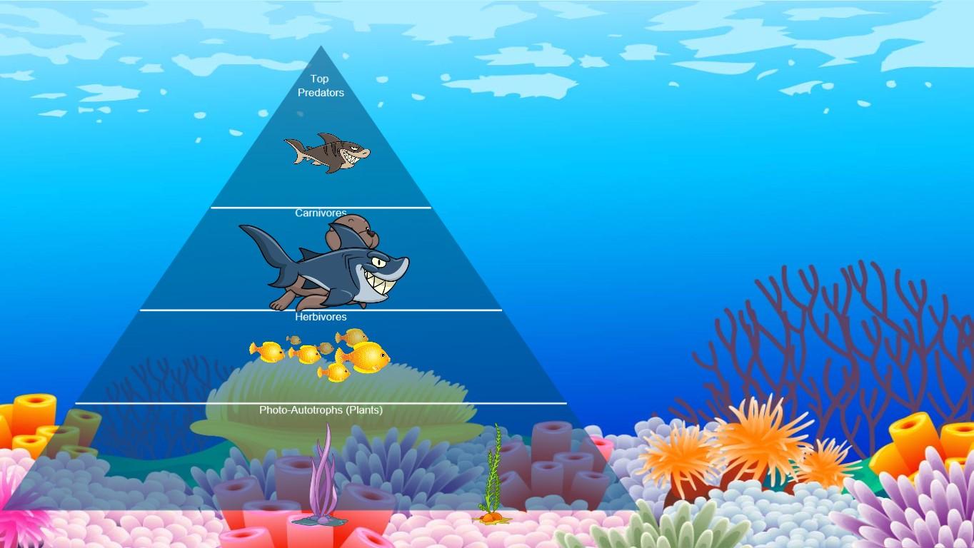 Ocean Ecological Pyramid - TEMPLATE