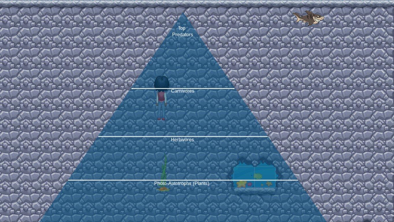 Ocean Ecological Pyramid - TEMPLATE