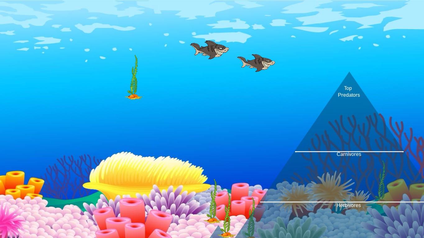 Ocean Ecological Pyramid - TEMPLATE