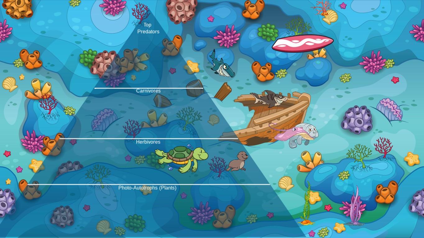 Ocean Ecological Pyramid - TEMPLATE