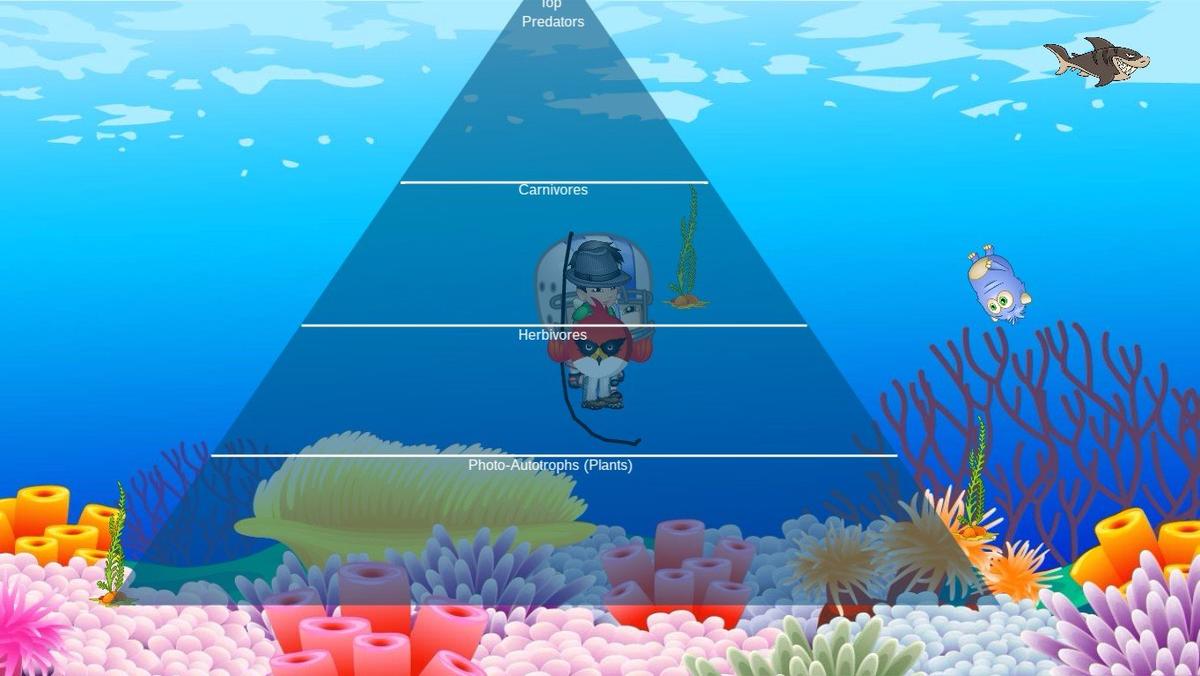 Ocean Ecological Pyramid - TEMPLATE