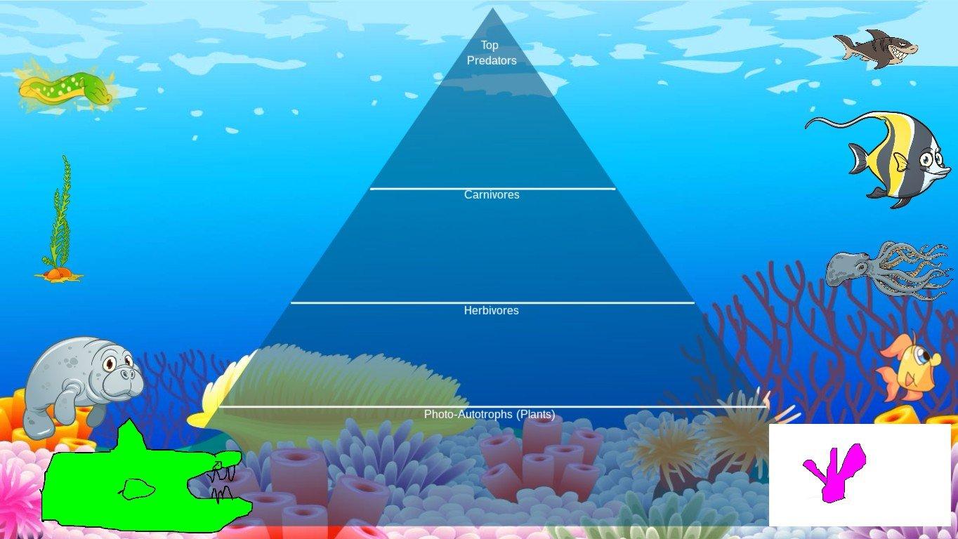 Ocean Ecological Pyramid - TEMPLATE