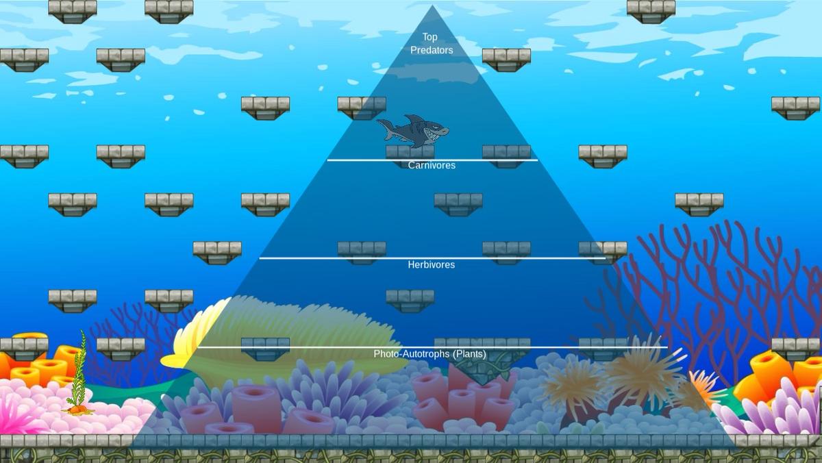 Ocean Ecological Pyramid - TEMPLATE