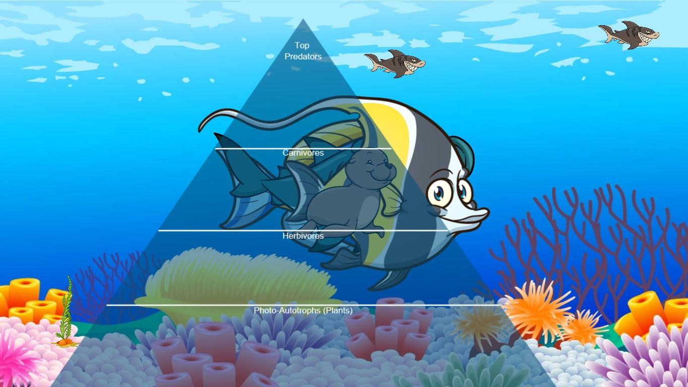 Ocean Ecological Pyramid - TEMPLATE