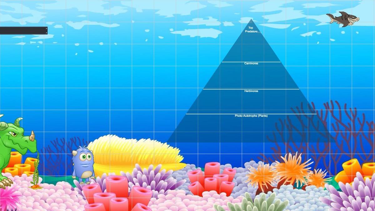 Ocean Ecological Pyramid - TEMPLATE