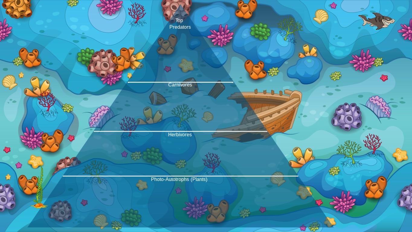 Ocean Ecological Pyramid - TEMPLATE