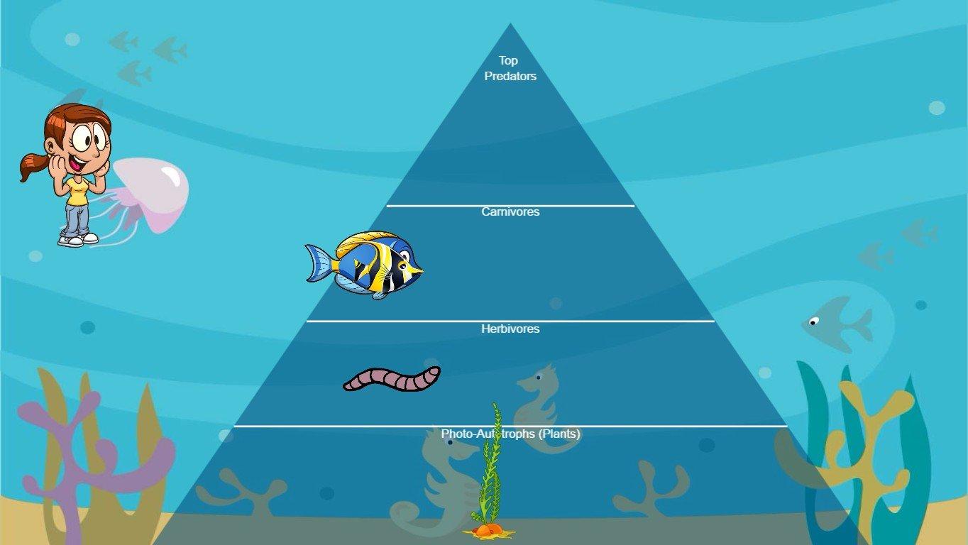 Ocean Ecological Pyramid - TEMPLATE