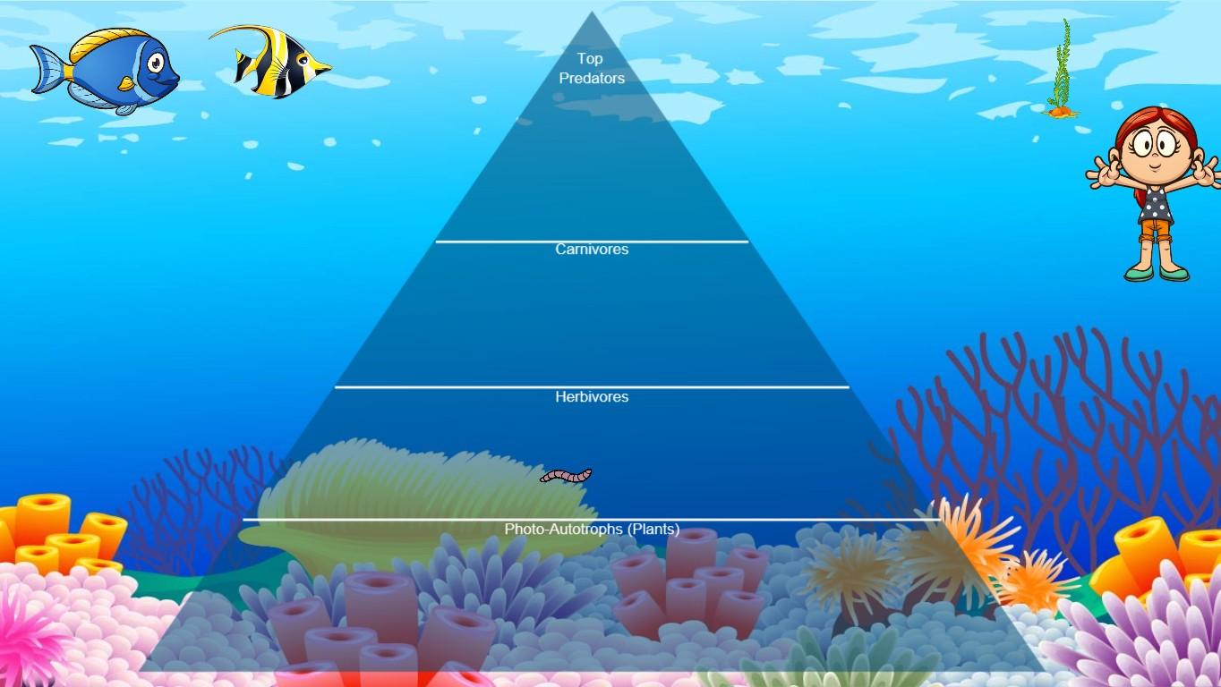 Ocean Ecological Pyramid - TEMPLATE