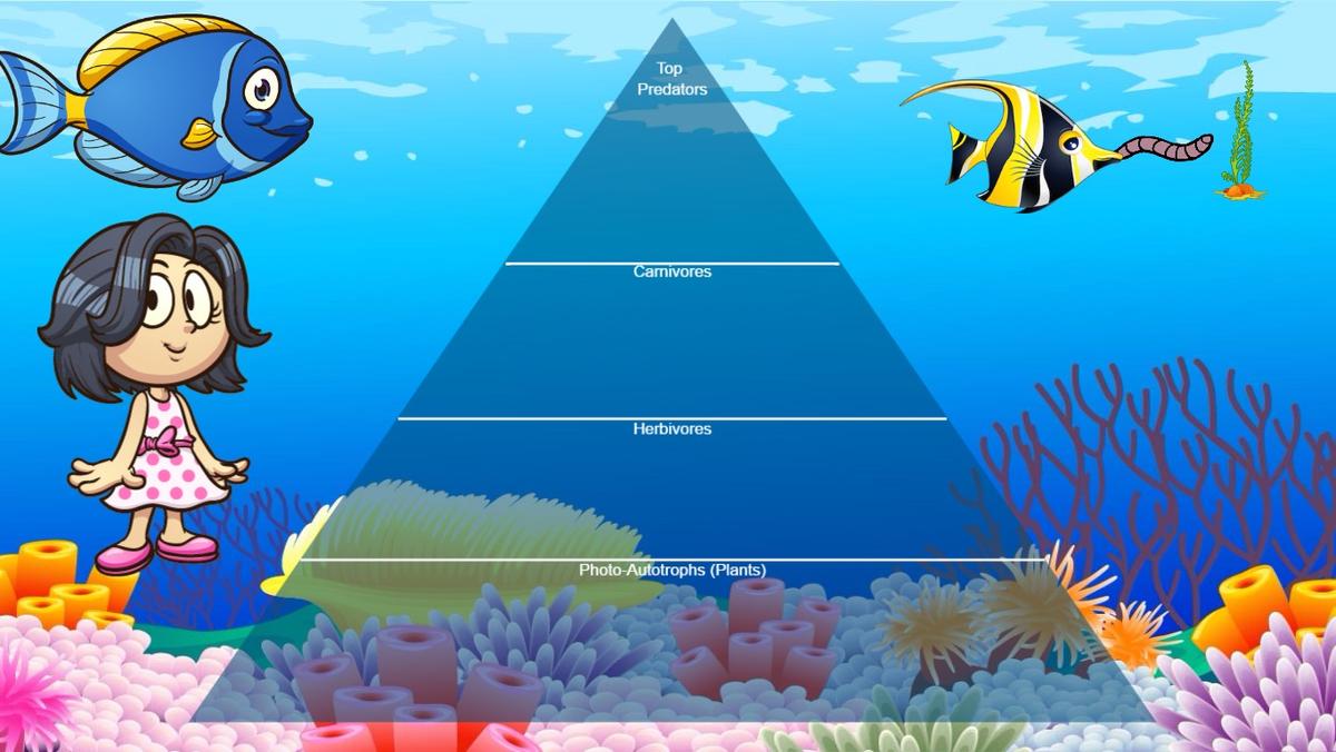 Ocean Ecological Pyramid - TEMPLATE