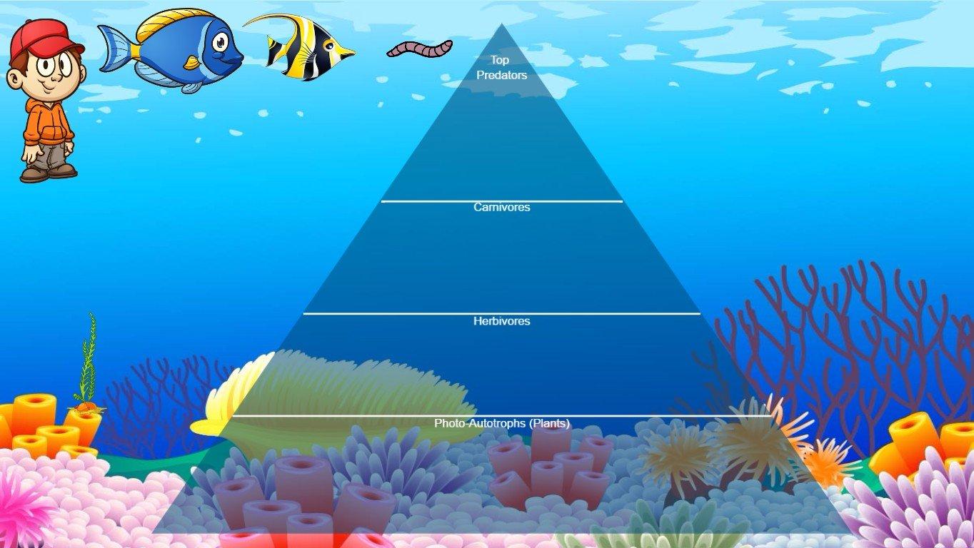 Ocean Ecological Pyramid - TEMPLATE