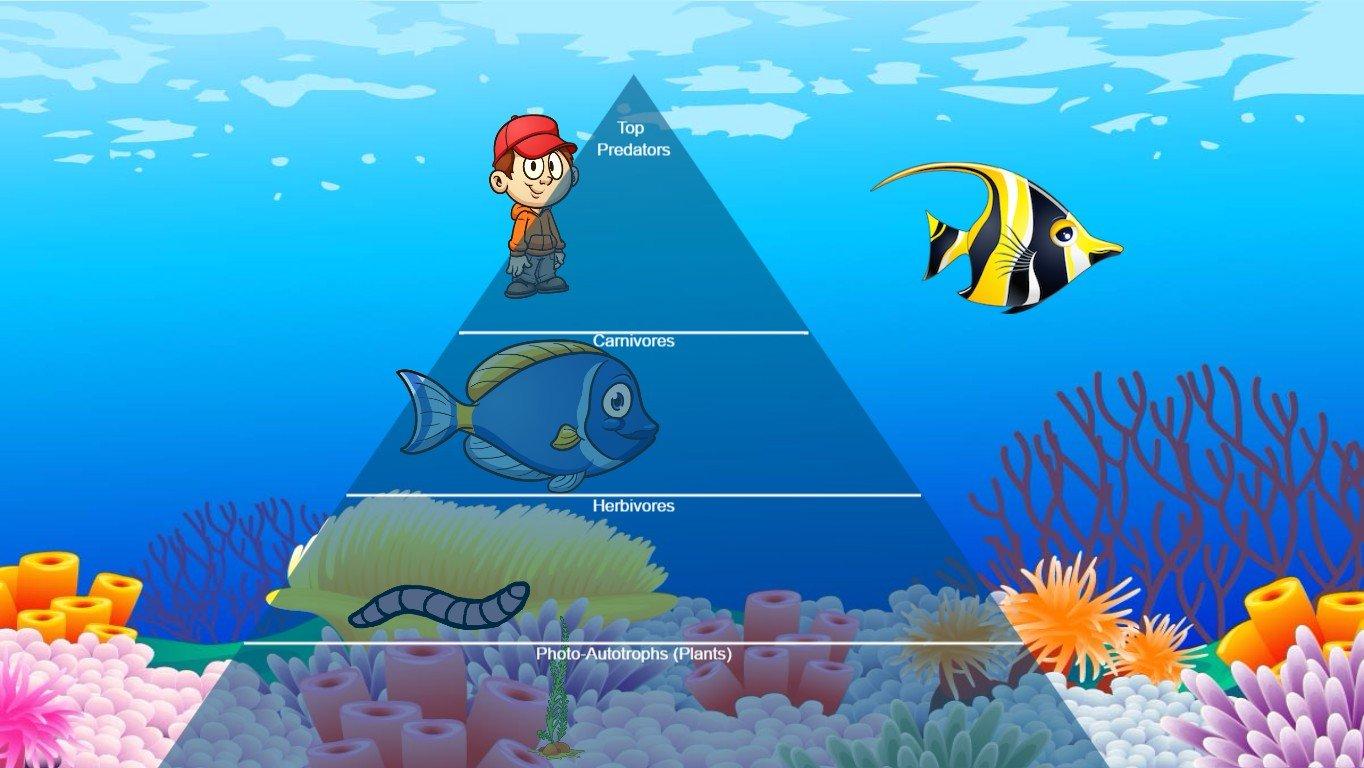 Ocean Ecological Pyramid - TEMPLATE