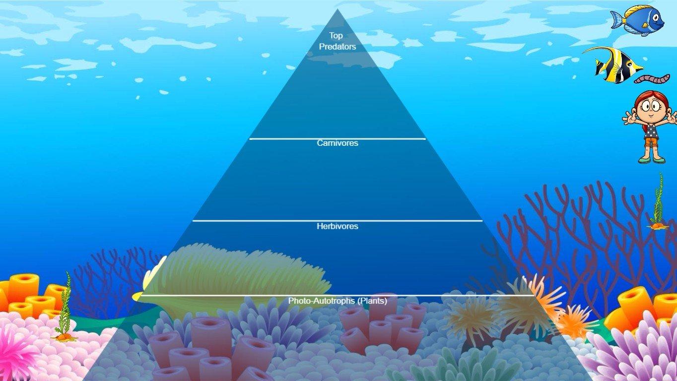 Ocean Ecological Pyramid - TEMPLATE