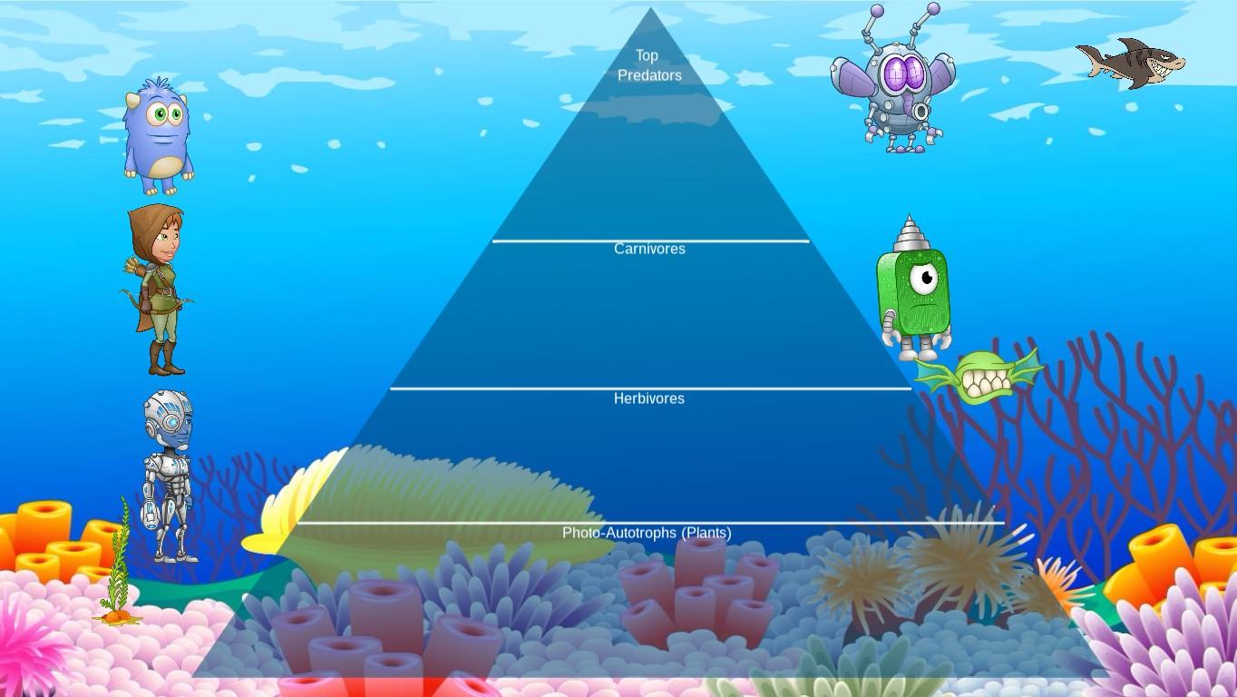 Ocean Ecological Pyramid - TEMPLATE