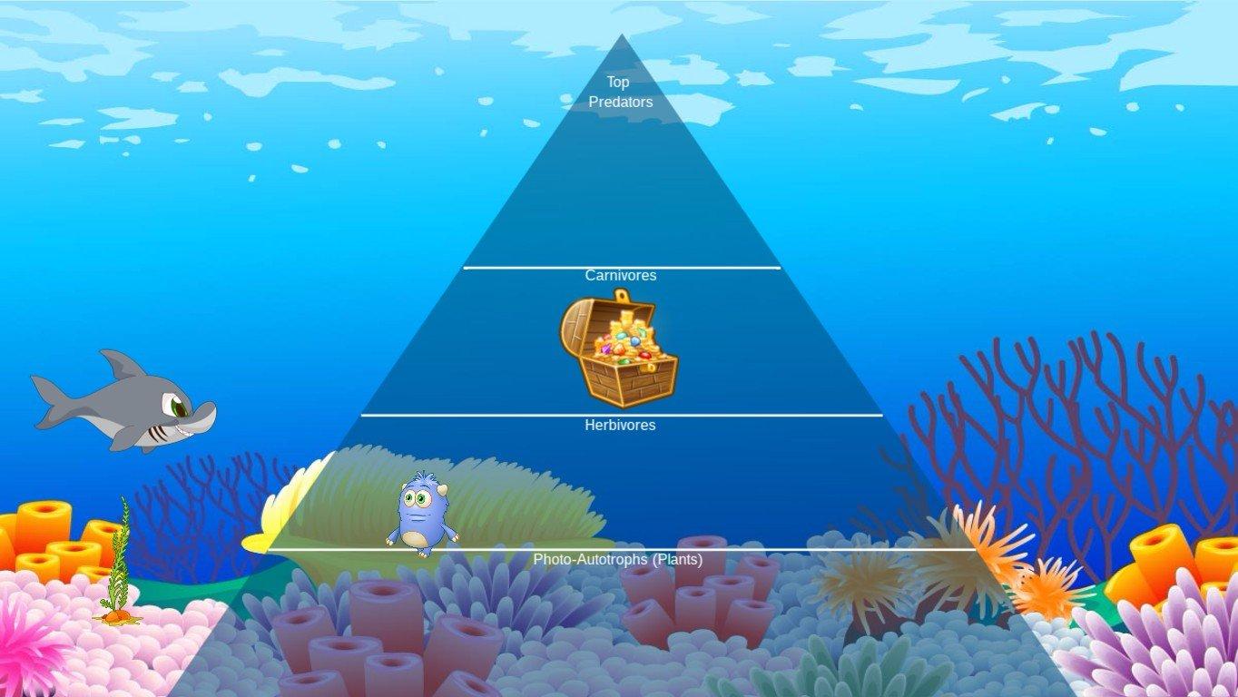 Ocean Ecological Pyramid - TEMPLATE