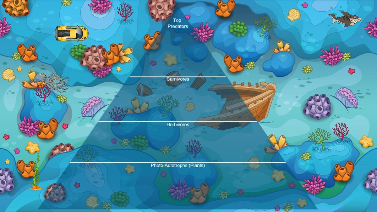 Ocean Ecological Pyramid - TEMPLATE