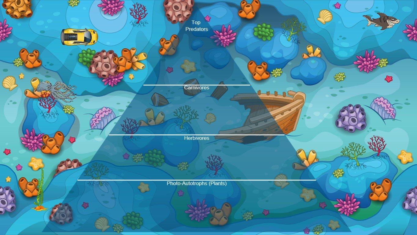 Ocean Ecological Pyramid - TEMPLATE