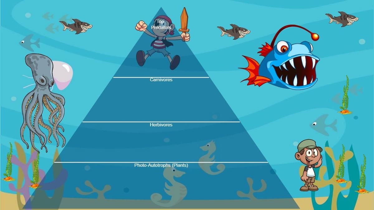 Ocean Ecological Pyramid - TEMPLATE