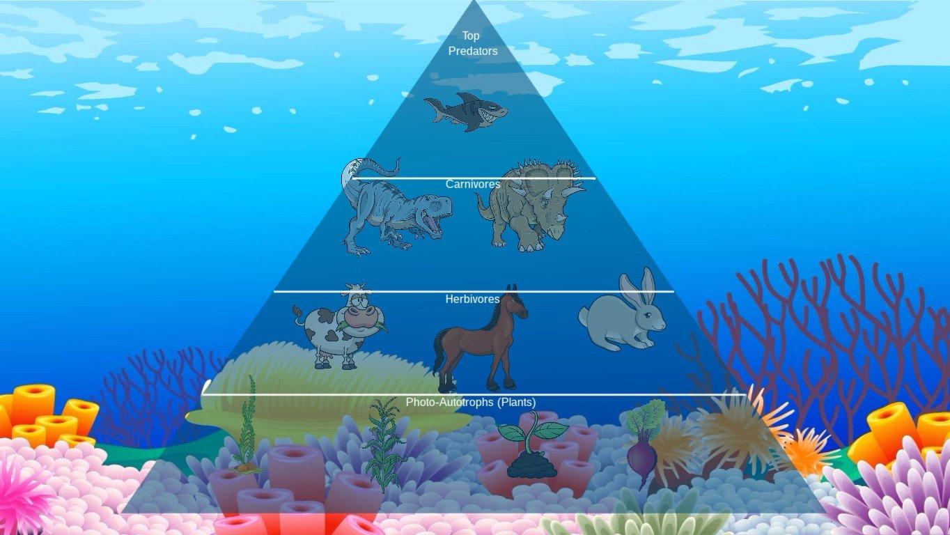 Ocean Ecological Pyramid - TEMPLATE