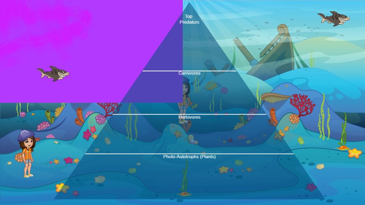 Ocean Ecological Pyramid - TEMPLATE