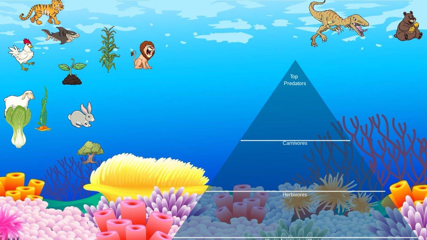 Ocean Ecological Pyramid - TEMPLATE