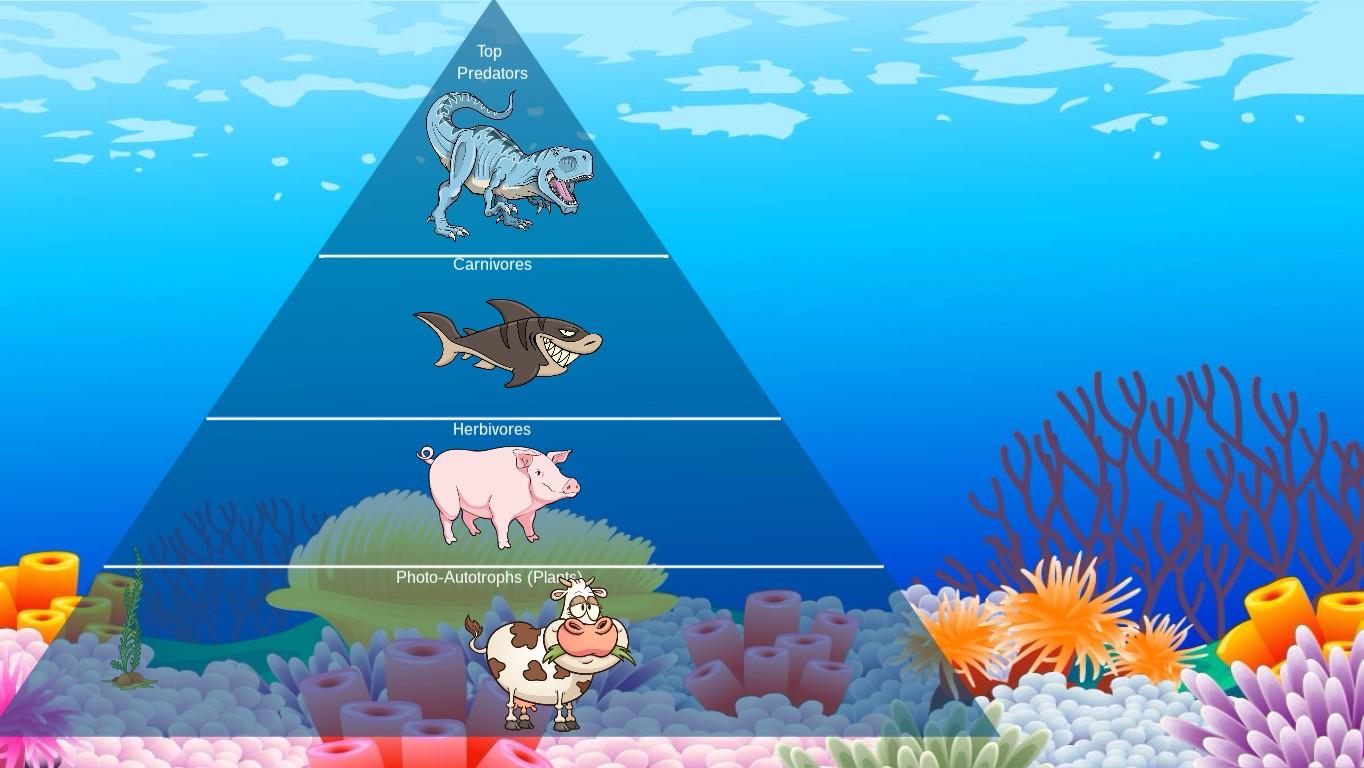 Ocean Ecological Pyramid - TEMPLATE