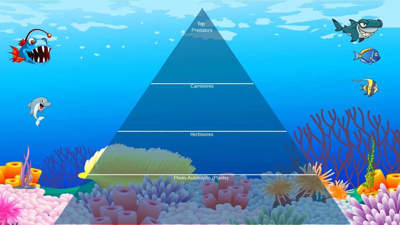 Ocean Ecological Pyramid - TEMPLATE