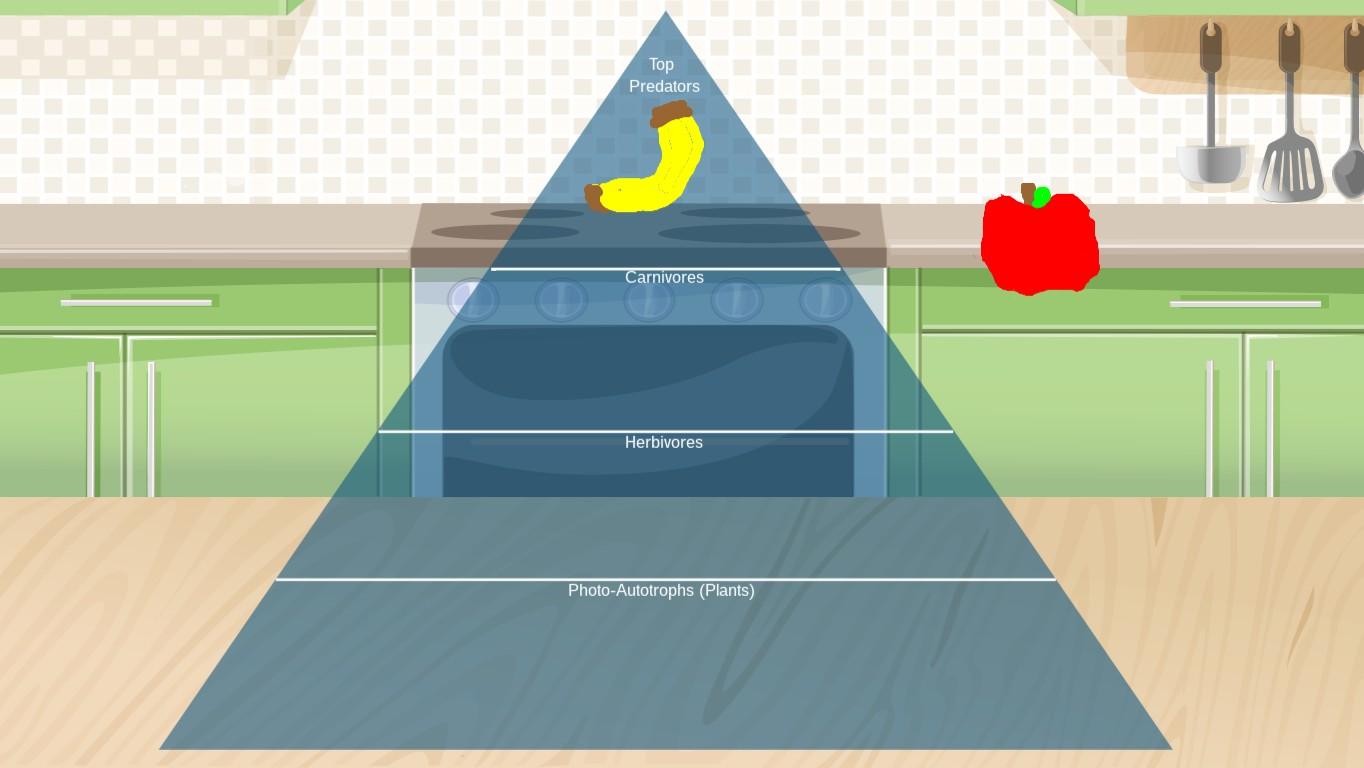 Ocean Ecological Pyramid - TEMPLATE