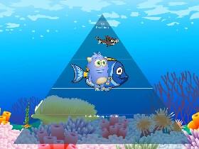 Ecological Pyramid 1