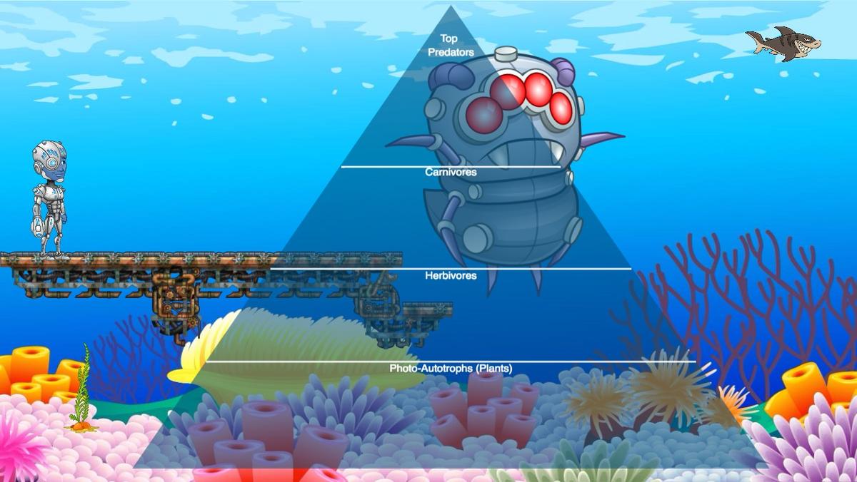 Ocean Ecological Pyramid