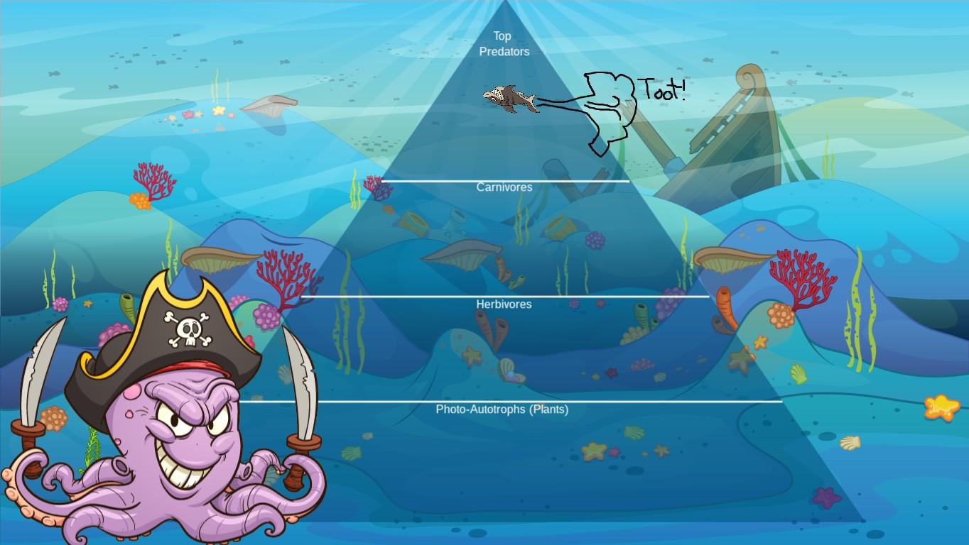 Ocean Ecological Pyramid