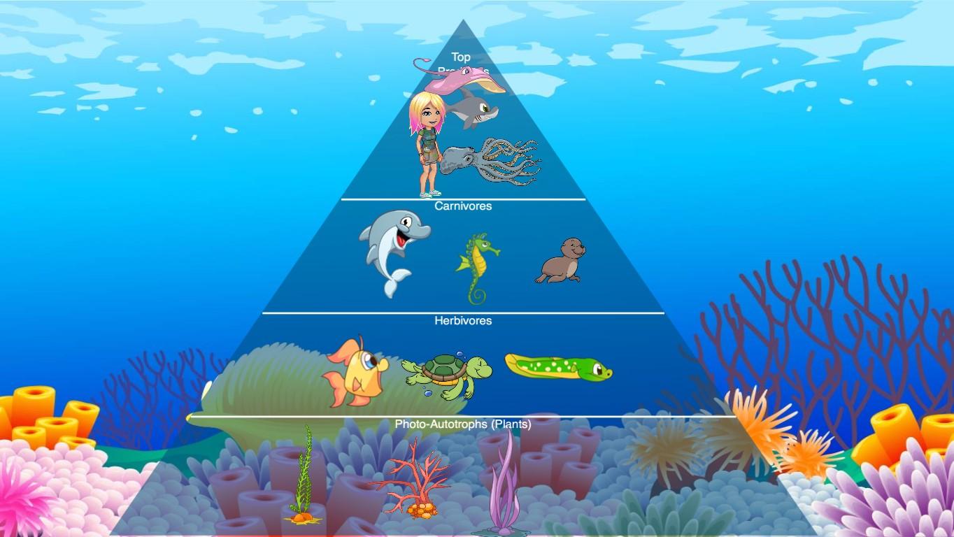 Ocean Ecological Pyramid