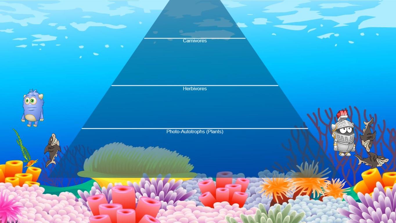 Ocean Ecological Pyramid