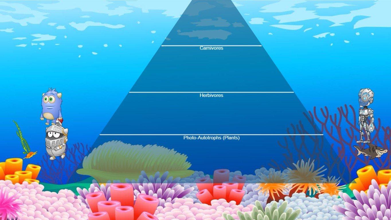 Ocean Ecological Pyramid