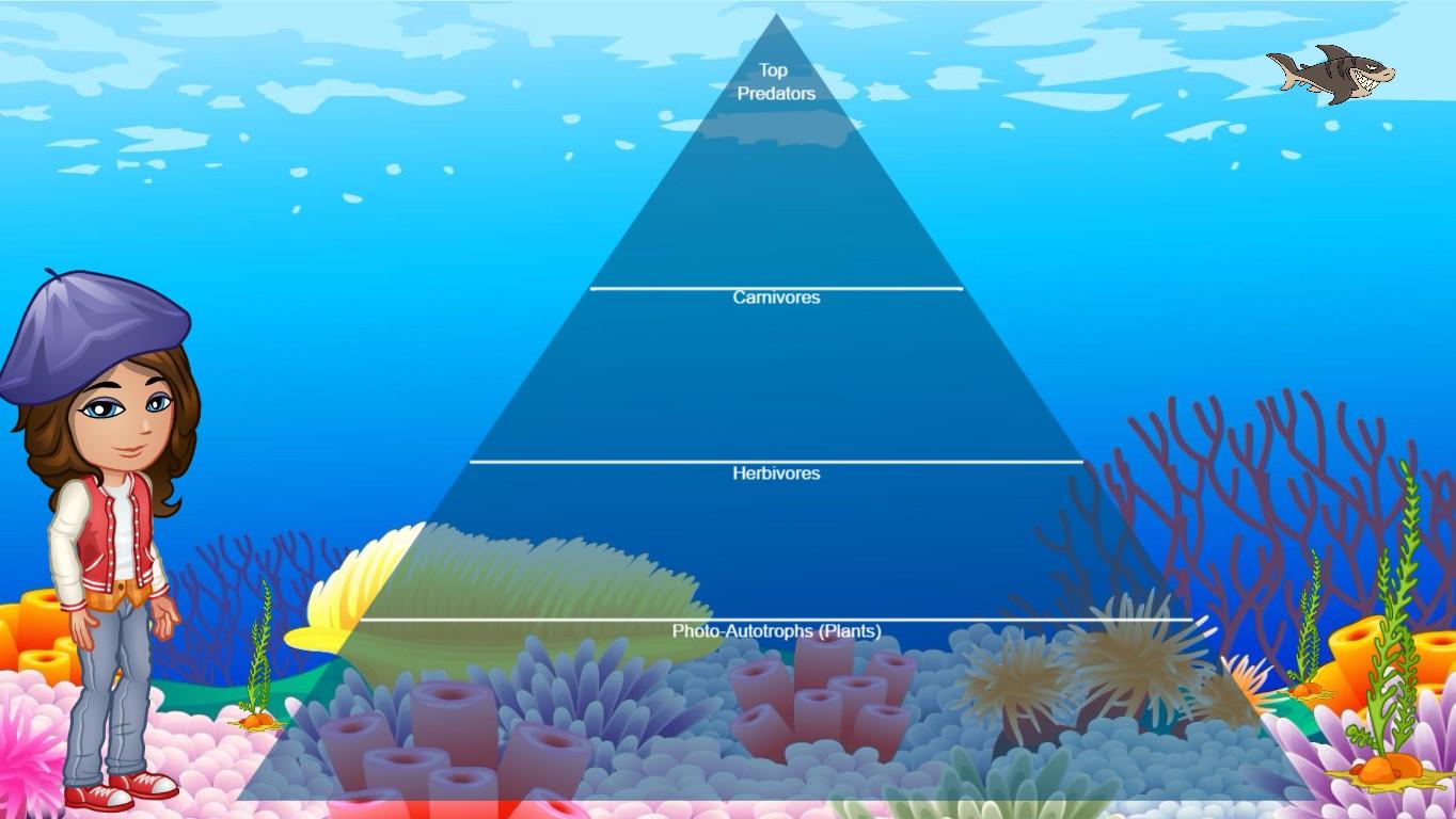 Ocean Ecological Pyramid