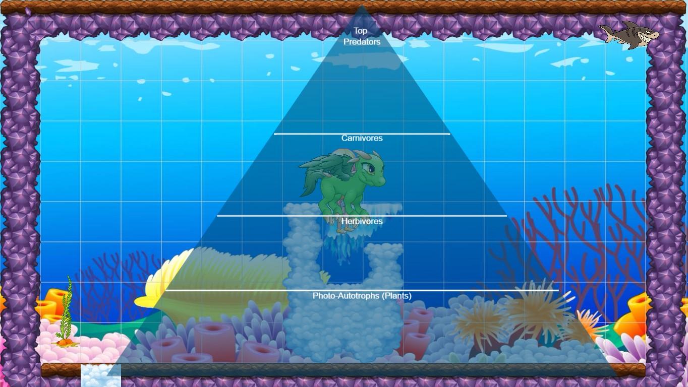 Ocean Ecological Pyramid