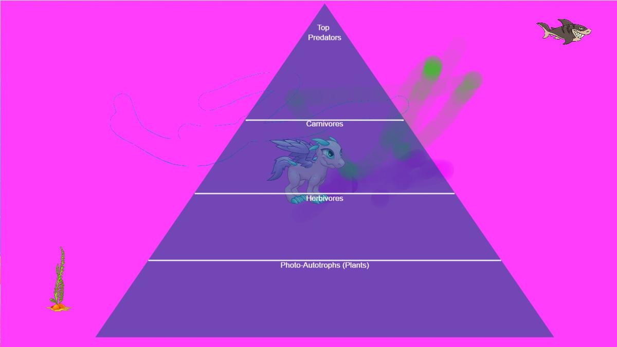 Ocean Ecological Pyramid