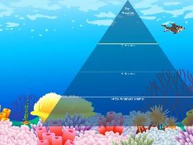 Ecological Pyramid 1