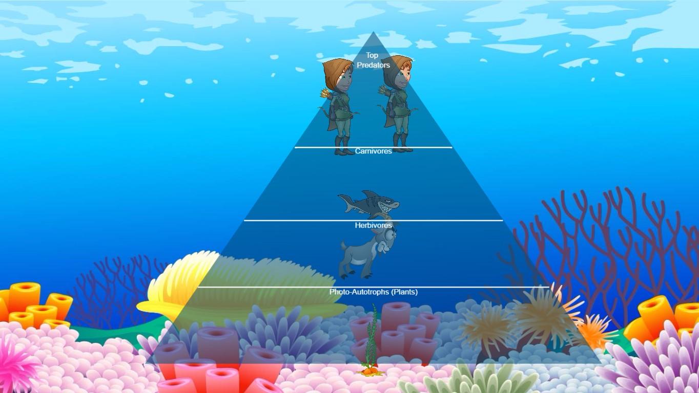 Ocean Ecological Pyramid