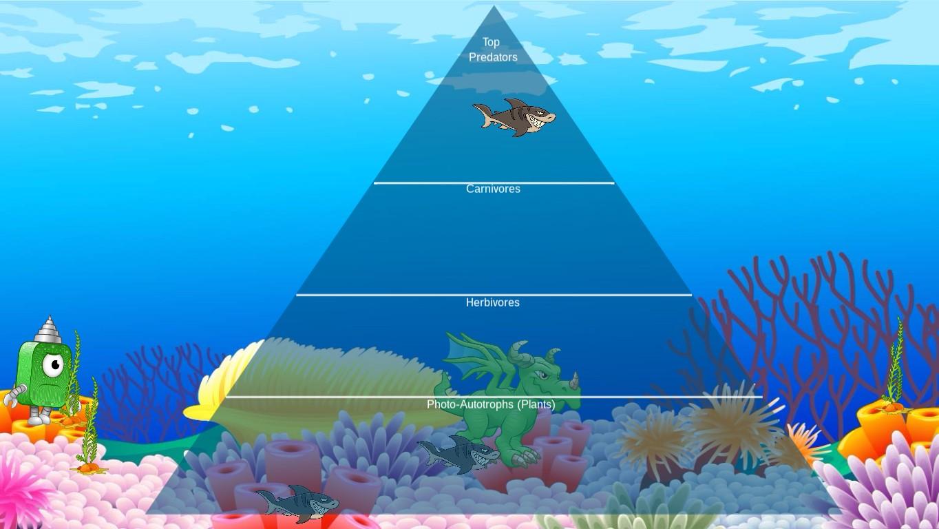 Ocean Ecological Pyramid