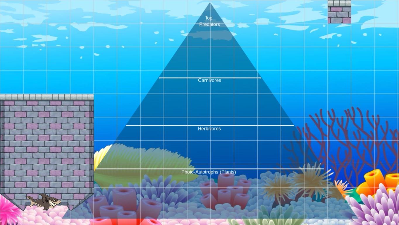 Ocean Ecological Pyramid