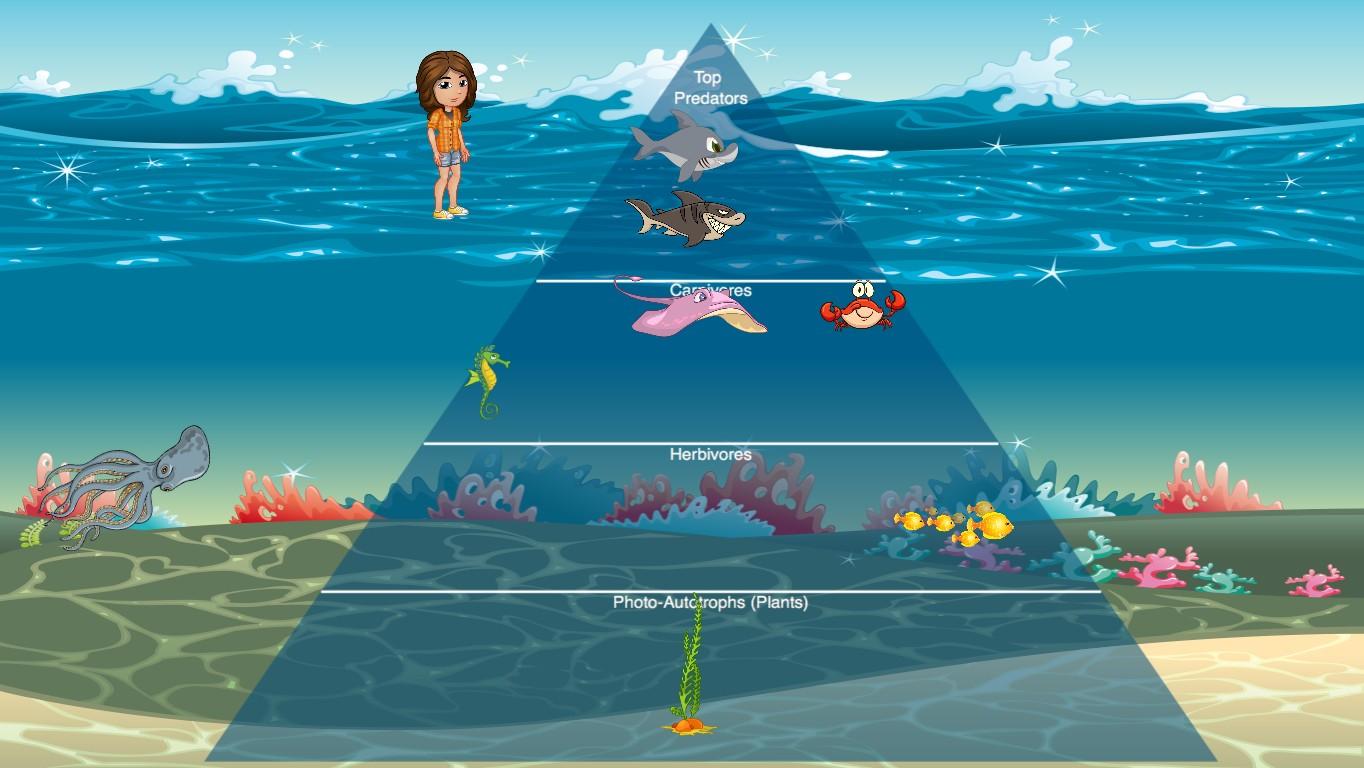 Ocean Ecological Pyramid