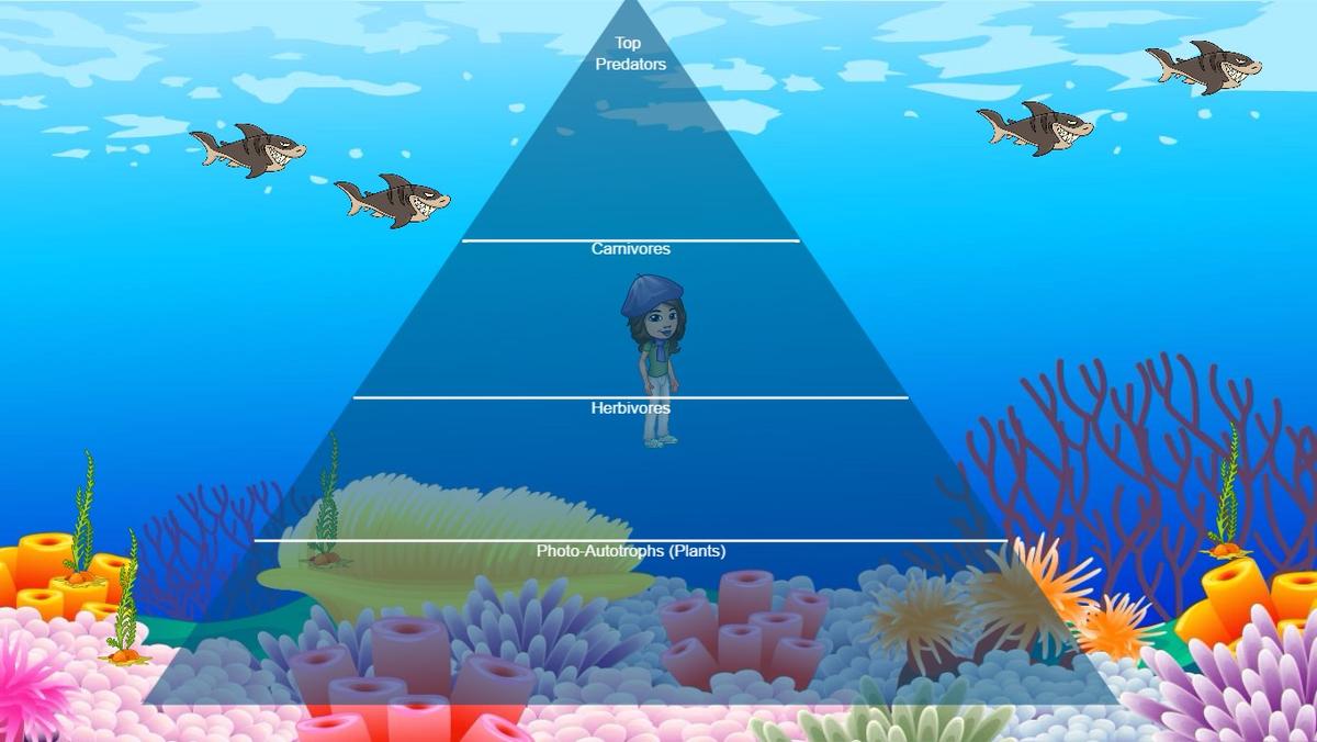 Ocean Ecological Pyramid