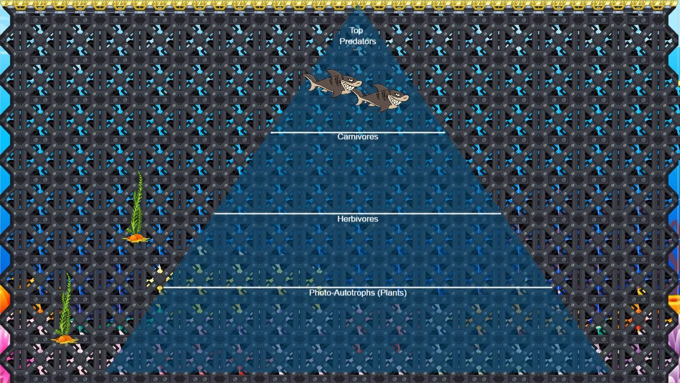 Ocean Ecological Pyramid