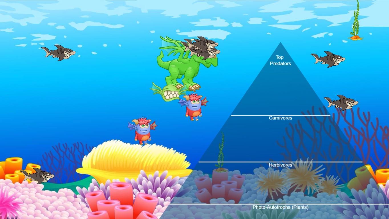 Ocean Ecological Pyramid