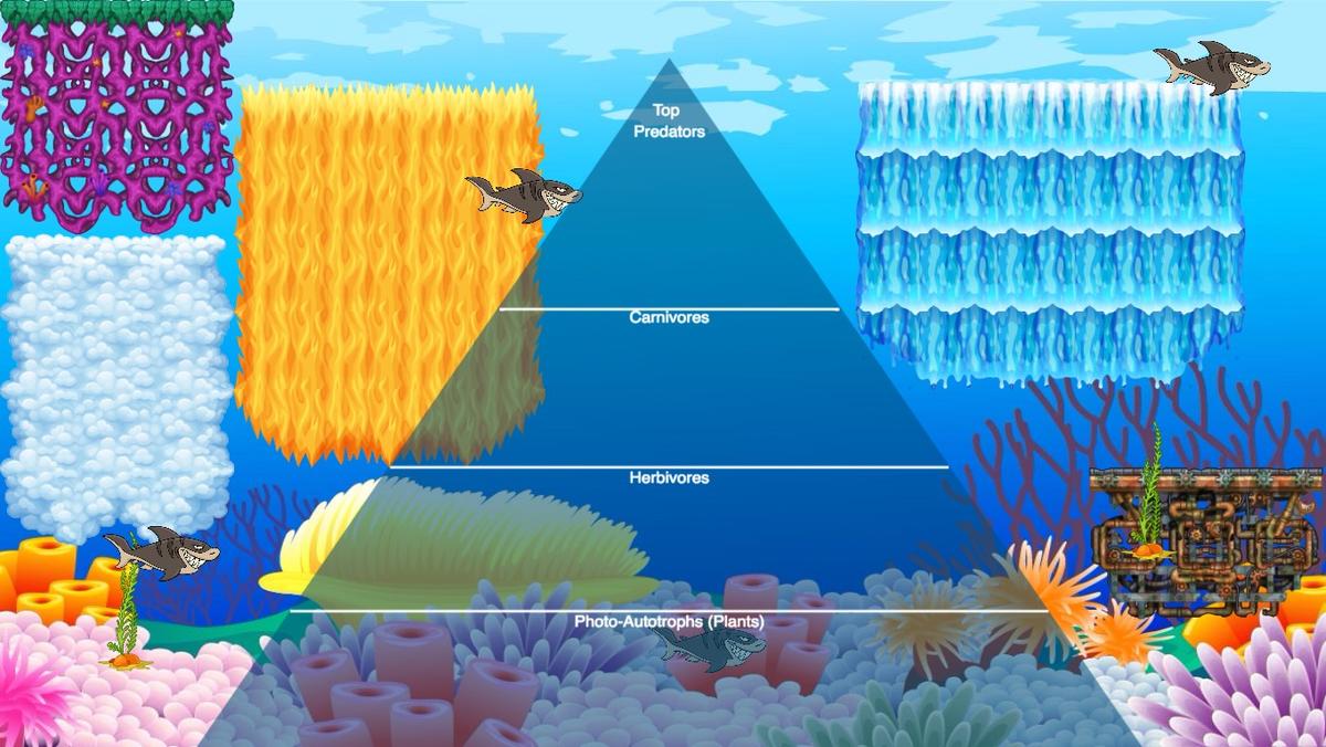 Ocean Ecological Pyramid