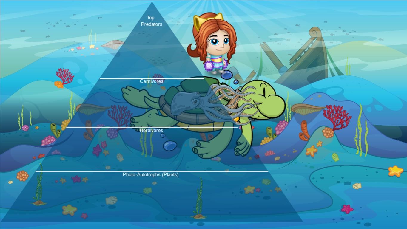 Ocean Ecological Pyramid