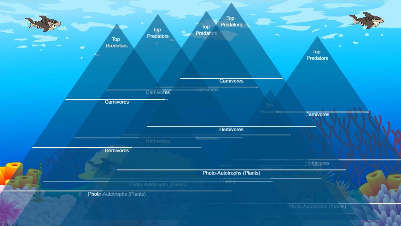 Ocean Ecological Pyramid