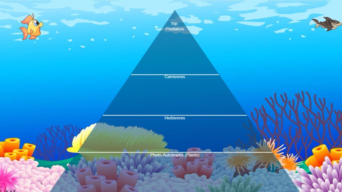 Ocean Ecological Pyramid