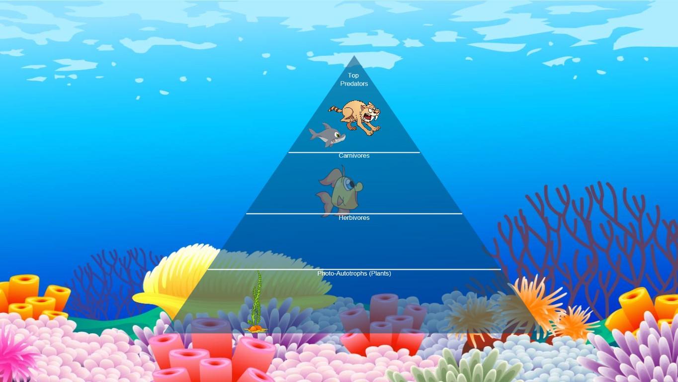 Ocean Ecological Pyramid